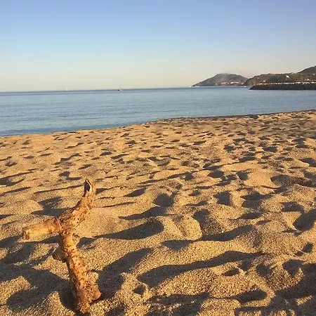Logis Cara Sol